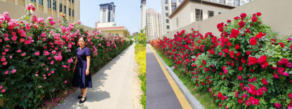 5.22 物業(yè)服務(wù) 合1.png